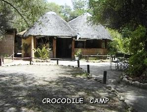 Crocodile Camp